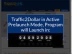 Screenshot traffic2dollar 
