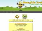 Screenshot Buzzybiz traffic 
