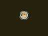 Screenshot DogeMiner2