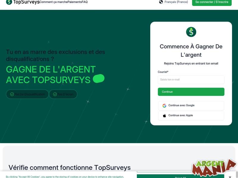 Screenshot Topsurveys 